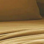 camel gold