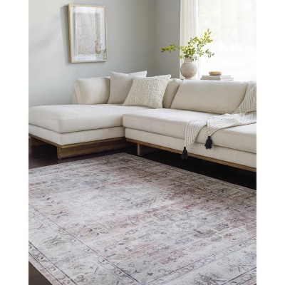 Hauteloom Laran Taupe Distressed Washable Area Rug