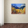 Trademark Fine Art-Richard Wallich 'Cotton' Matted Framed Art - 3 of 3