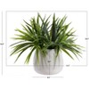 Artificial Plant - Faux 17" Potted Orchid Plant - FXP1012 - Multicolored - Safavieh - 3 of 4