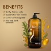 Majestic Pure Biotin Shampoo with DHT Blocker - Hydrating & Sulfate Free for Thin Hair - 16 fl oz - 3 of 4