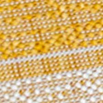 yellow/cream