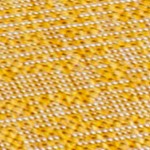 yellow/cream