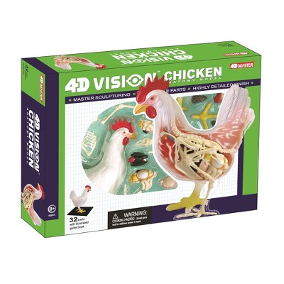 4D Chicken Anatomy Model