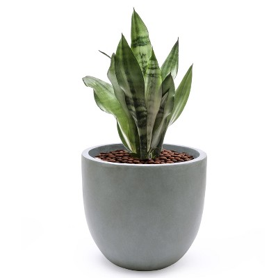 Gray Round Tapered Magnesium Oxide Outdoor Planter 12.2" H