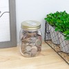 Cornucopia Brands Small Plastic Mason Coin Bank 16oz Jars, 4pk, w/ Slotted Lids - 2 of 4