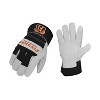 Nfl Cincinnati Bengals the Closer Work Gloves : Target