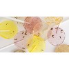 Amborella Organics Mixed Variety 6ct Flower Seeds - 4 of 4