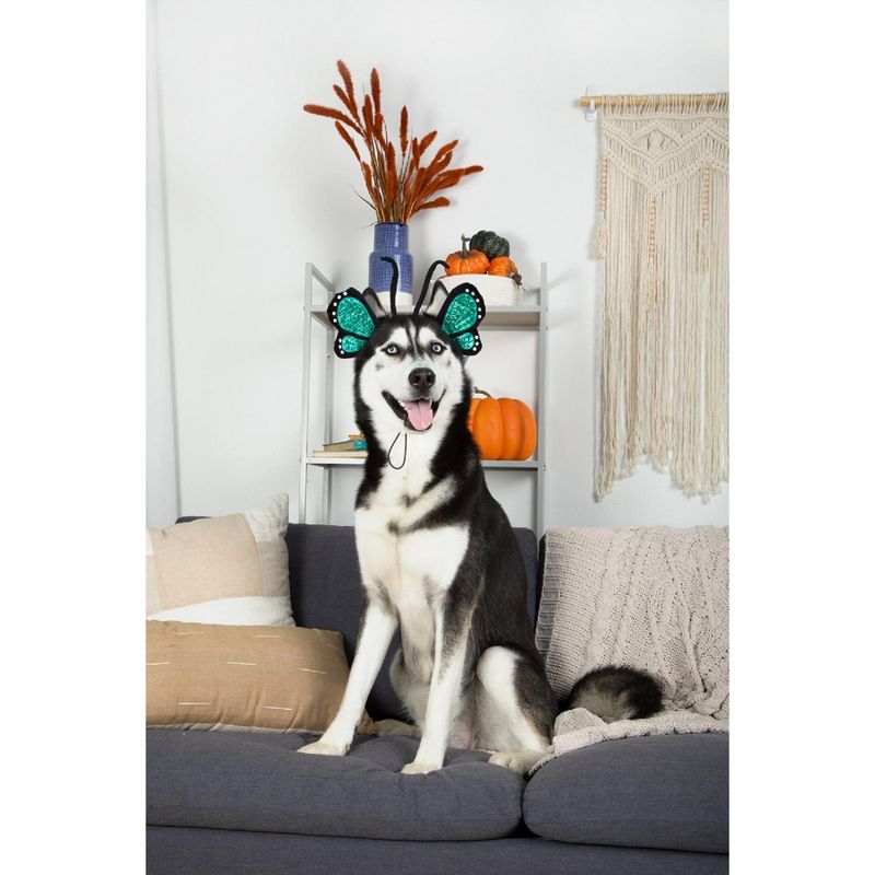 Midlee Blue Butterfly Headband Halloween Dog Costume, 3 of 10