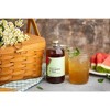 Wood Stove Kitchen Watermelon & Mint Cocktail and Mocktail Mixer, 16 fl oz - 4 of 4
