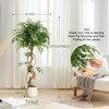 Whizmax 4/5/6ft Ficus Artificial Trees, Lifelike Faux Tree, Green Lush Fake Ficus Tree Artificial Plants for Living Room Indoor Outdoor Modern Decor - 3 of 4