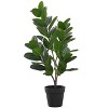 Monarch Specialties Artificial Plant 28 inch Tall Garcinia Tree Indoor Faux Fake Floor Greenery Potted Real Touch Decorative Green Leaves Black Pot - 2 of 4