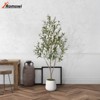 Romswi 5 ft Olive Artificial Tree, with White Round Planter, Pre Potted Artificial Tree, with Lifelike Wood Trunk and Natural Fruits for Indoor Decor - 4 of 4