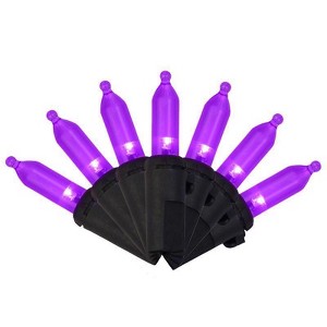 Celebrations Purple 100 ct LED Mini Halloween String Lights - 1 of 1