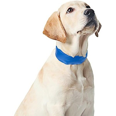 PETMAKER Cooling Pet Collarup to 11" - Blue