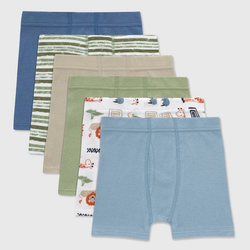 Hanes Toddler Boys' 6pk Organic Cotton Boxer Briefs - image 1 of 2