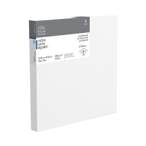 Winsor & Newton Professional Cotton Stretched Canvas Deep Edge - 1 of 1