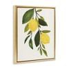 Stupell Industries Simple Yellow Country Lemon Leaf, 17" x 21" - 3 of 4