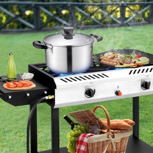 Winado 2 Burner Outdoor Propane Gas Stove With Auto-ignition & Side Shelves - 1 of 4