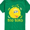 Boys' - Sesame Street - Big Bird Face Short Sleeve Graphic T-Shirt - 2 of 4