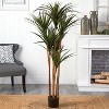 HomeStock  5.5 ft. Artificial Yucca Tree in Pot for Indoor/Outdoor - 2 of 3