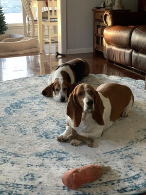 Guest review image 1 of 1, zoom in