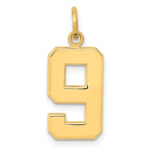 Black Bow Jewelry 14k Yellow Gold, Athletic Collection Medium Polished Number 9 Pendant - 1 of 4