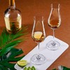 LEMONSODA Specialty Cordial Glasses - Set of 2 - 8 oz - 2 of 4