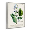 Stupell Industries Botanical Blue Flowers Vintage Design Framed Giclee Art - 2 of 4