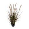 tagltd Foxtail Grass - 2 of 3