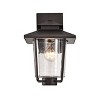 Chloe Lighting Thomas Transitional 1 Light Rubbed Bronze Outdoor Wall Sconce 12" Height - 4 of 4