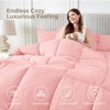 BAGOKIE Comforter Set 5/7 Pieces Reversible Bed in a Bag - 3 of 4