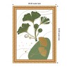 Amanti Art Ginkgo 2 by Samira Yanushkova Wood Framed Wall Art Print - 3 of 4