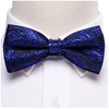 Men's Royal Blue Paisley 100% Silk Pre-Tied adjustable Bow Tie Pocket Square Cufflinks Set - 2 of 4