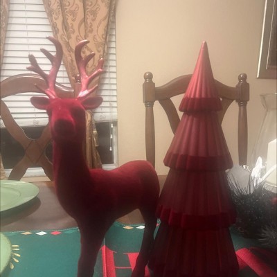 Guest review image 1 of 1, zoom in