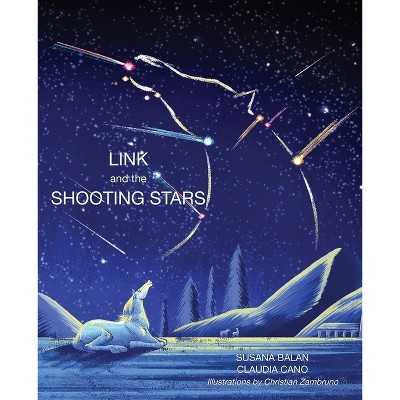 Link and the Shooting Stars - by  Susana Balan & Claudia Cano (Paperback)