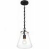 Crystorama Lighting Voss 1 - Light Pendant in  Matte Black - 4 of 4