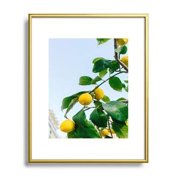 Bethany Young Photography Amalfi Coast Lemons 8"x10" Gold Metal Framed Art Print - Deny Designs