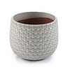 KTMBDW Plant Pots, Ceramic Planters with Drainage Holes,Nursery Planting Pot for Indoor Out Door Plants - 4 of 4