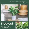 Aoibox Small Fake Plants Artificial Tropical Faux Plants Indoor Desk Plant for Home Office Kitchen Shelf Sage Green Decor - 2 of 4