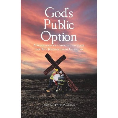 God's Public Option - (God Punched Back) by  Jane Northrup Glenn (Paperback)