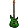 Ernie Ball Music Man Cutlass HH Trem 6 String Jason Richardson Burl Top Electric Guitar Kokiri Forest - 3 of 4