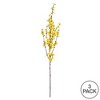 Vickerman 40'' Artificial Forsythia Flower Spray. Includes 3 sprays per pack. - image 3 of 3