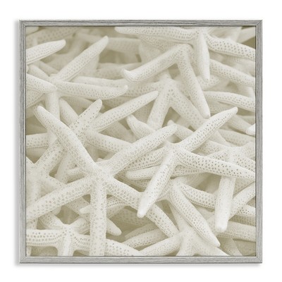 Stupell Industries Nautical White Starfish Photography, 24" x 24"