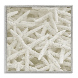 Stupell Industries Nautical White Starfish Photography, 24" x 24" - 1 of 4