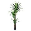 Tree City 6ft Artificial Dracaena Tree - Tall Fake Plant in Black Planter, Realistic Faux Yucca Palm for Home & Office Decor - 2 of 4