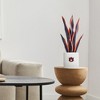 Forever Leaf Auburn Faux Snake Plant, Indoor Artificial Plant for Home Decor - 4 of 4
