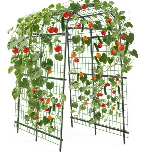 Garden Arch Trellis, Polyethylene-Coated Steel Arbor for Climbing Plants, Vegetables, Flowers, Outdoor Pergola or Event Decoration - 1 of 4
