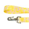Country Brook Petz 6 Foot Dog Leash - Tasty Collection - 4 of 4
