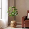 Artificial Wealth Tree, Indoor Pachira Macrocarpa Tree Artificial Plants, Fake Tree for Home Office Living Room Floor Decor Housewarming Gift - 4 of 4